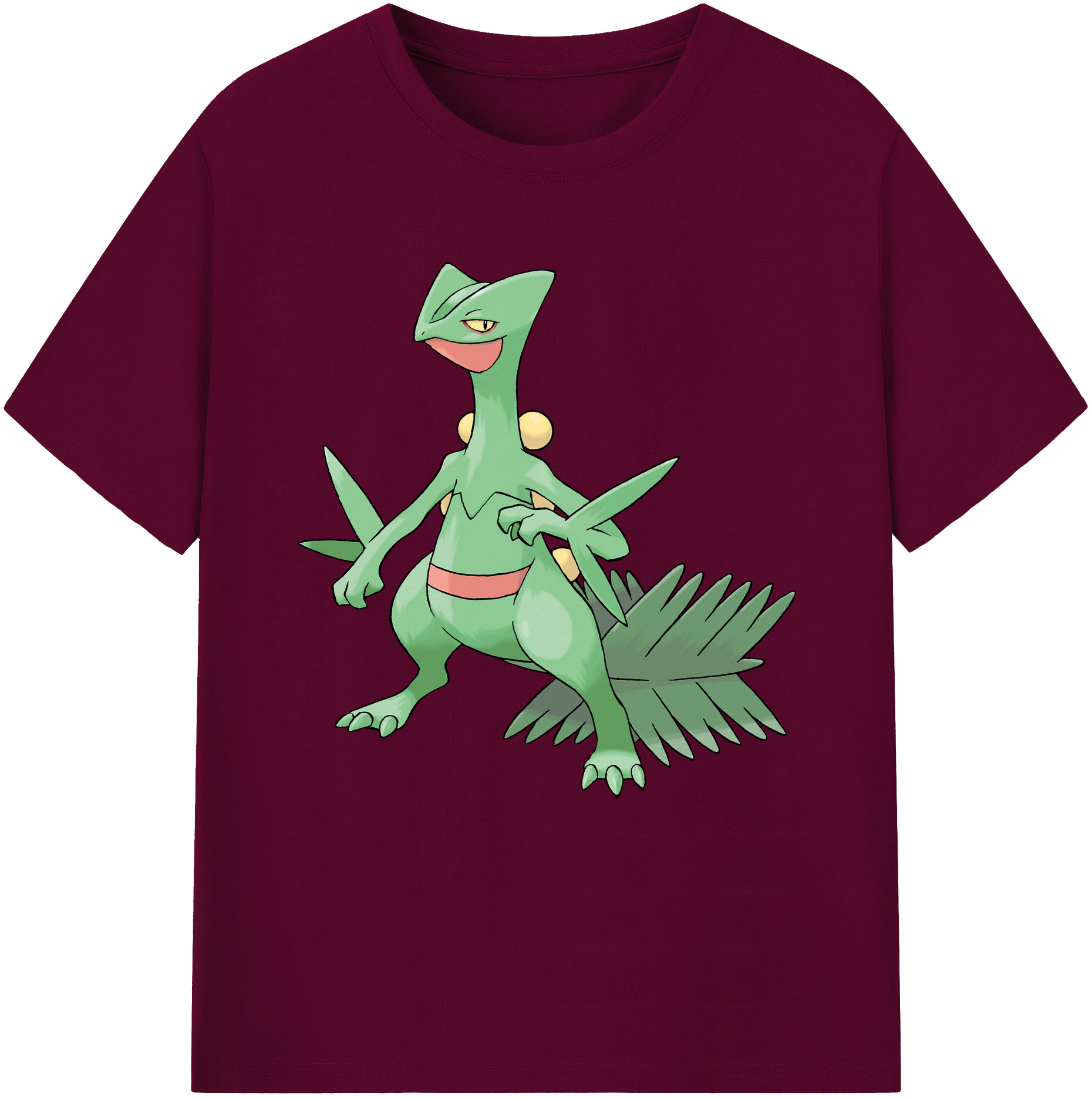 （画像用） ポケットモンスター Pokémon レディースカジュアルプリントTシャツ（綿100％）